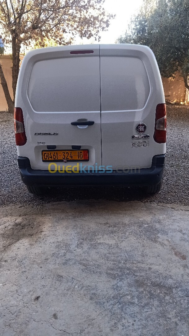 Fiat Professional Doblo 2024 Dz 2place