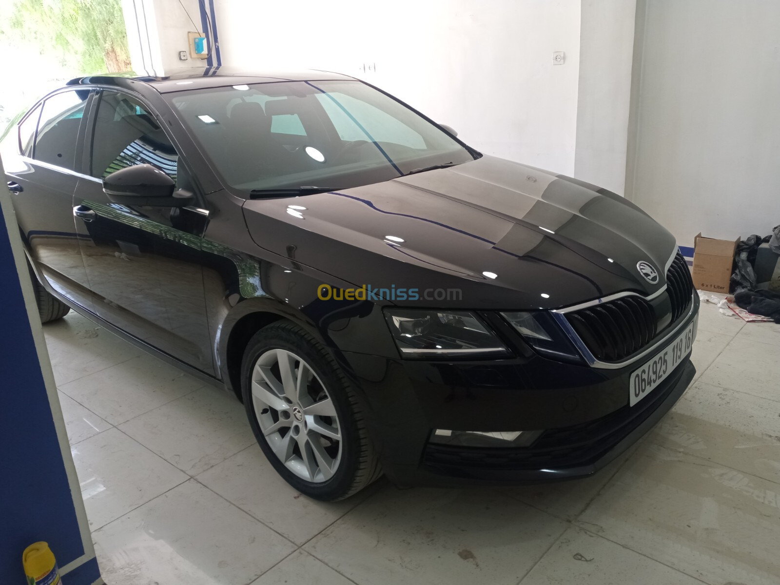 Skoda Octavia 2019 Sensation