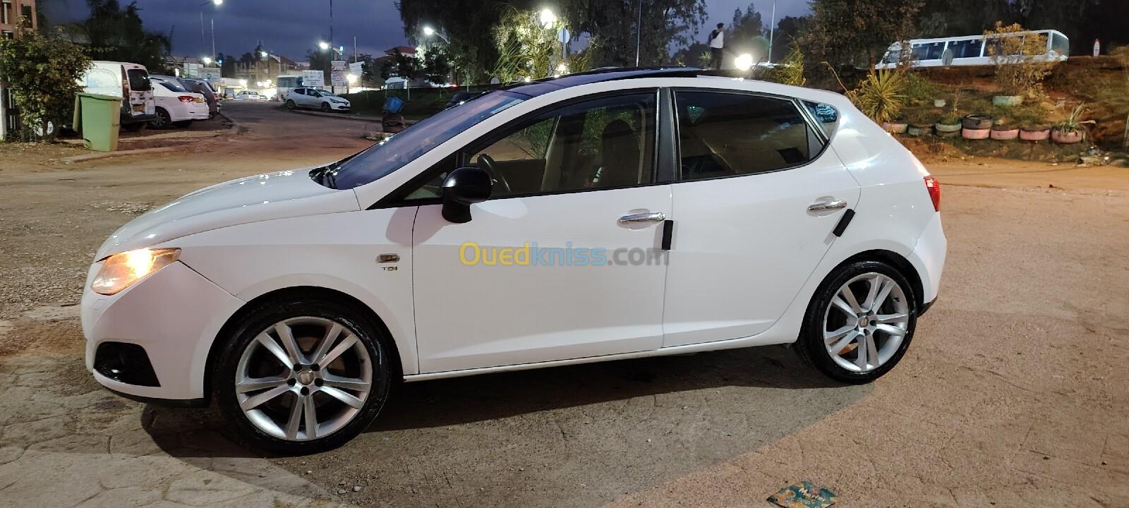 Seat Ibiza 2011 Loca