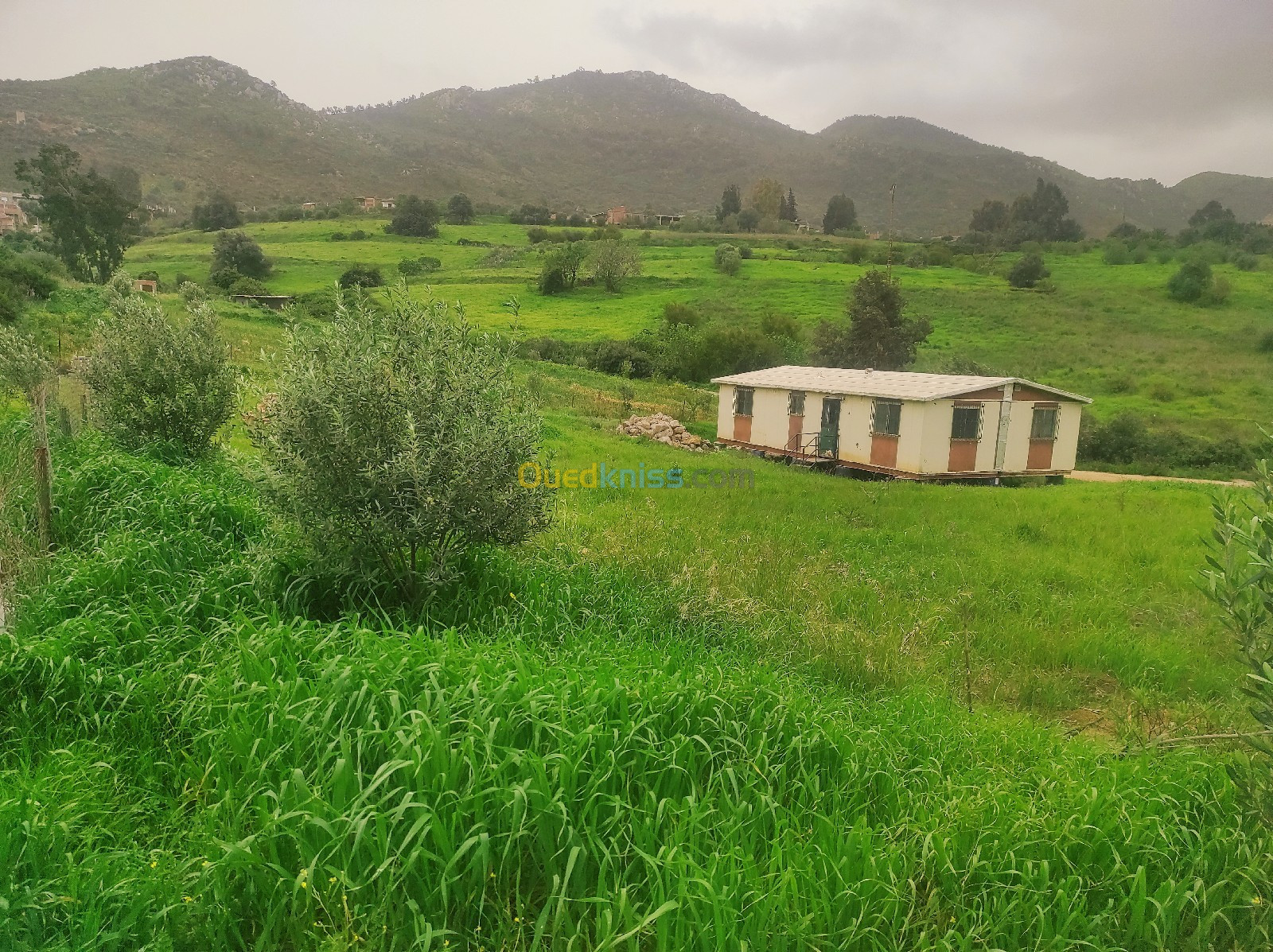 Vente Terrain Boumerdès Keddara