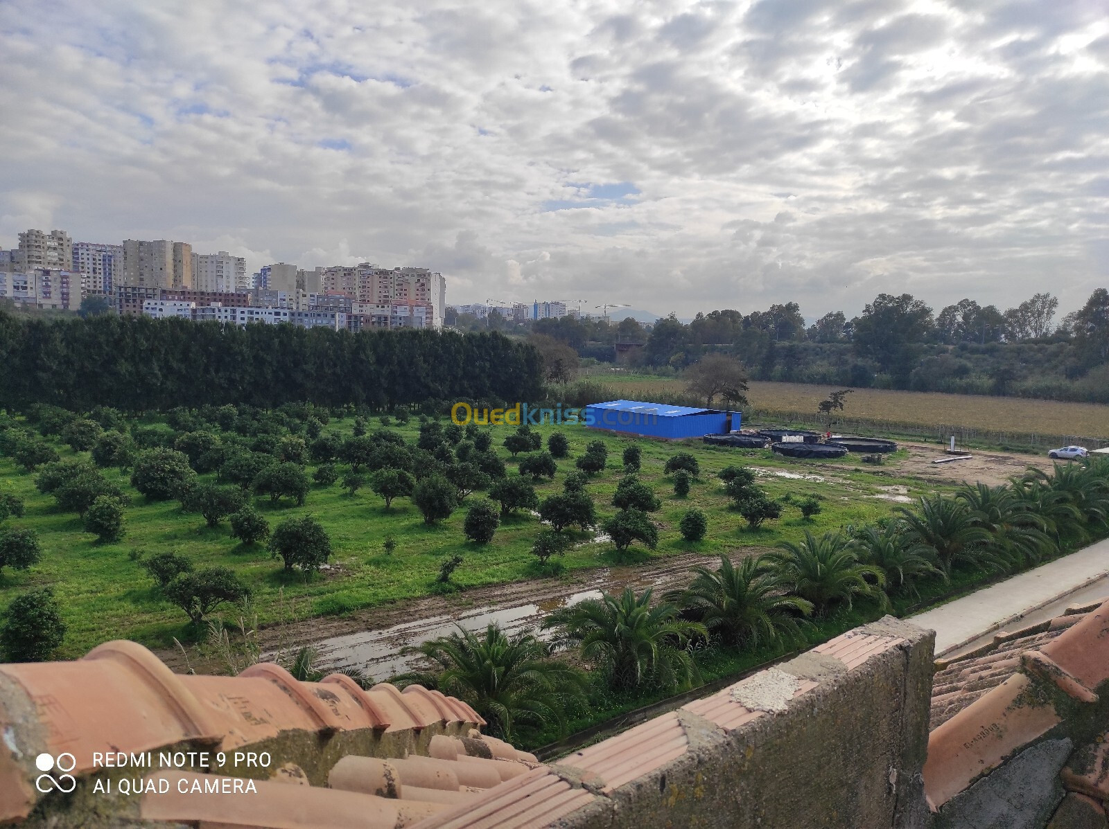 Vente Villa Boumerdès Corso