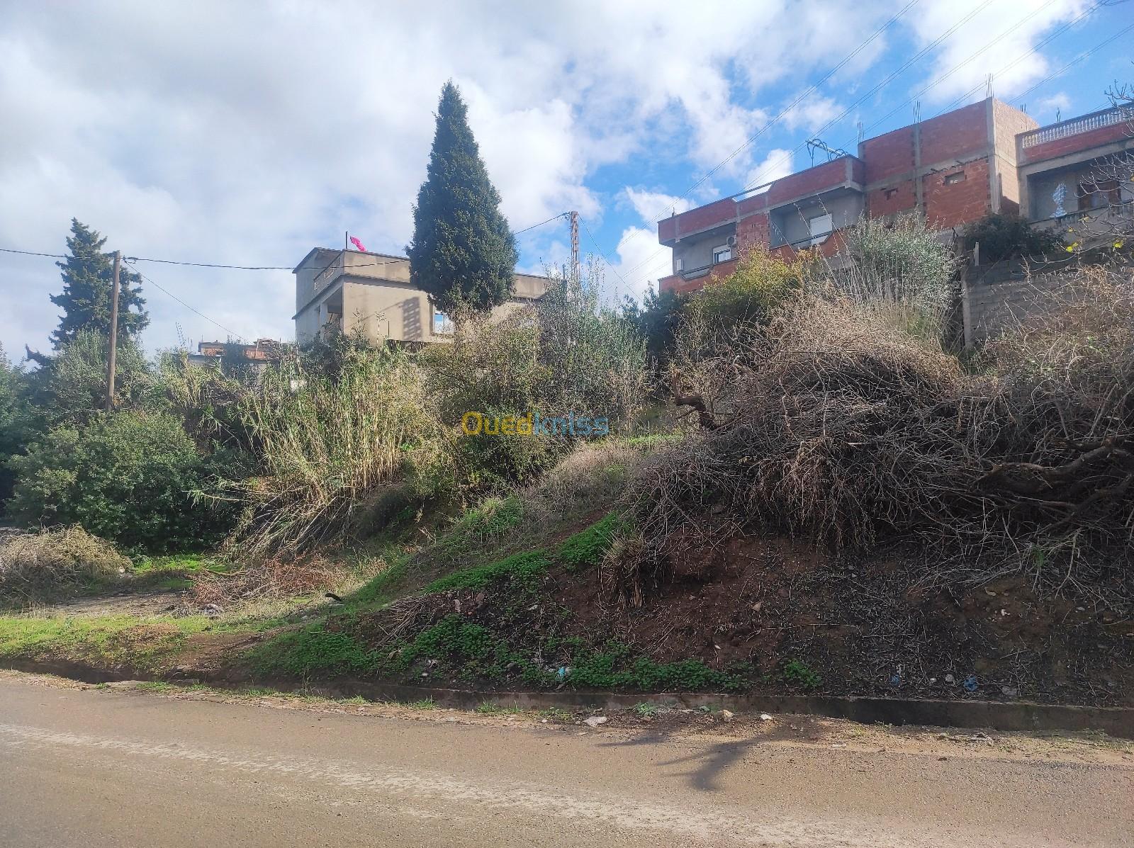 Vente Terrain Boumerdès Tidjelabine