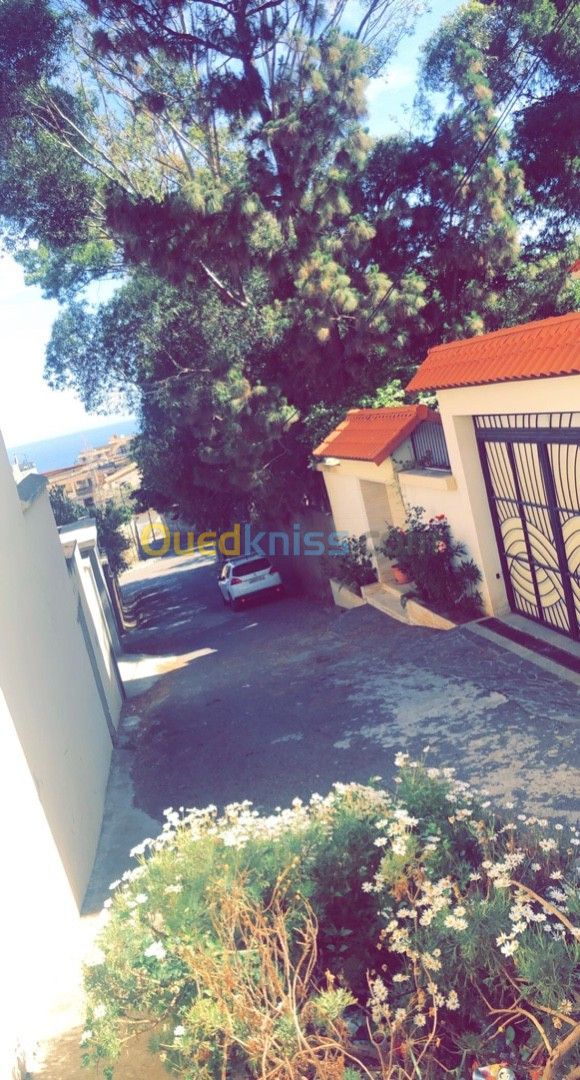 Vente Villa Alger Hammamet