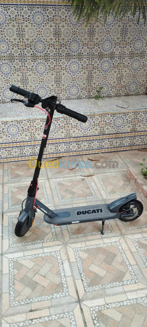 Trotinette Electrique DUCATI EVO PRO 1 SANS CHARGEUR