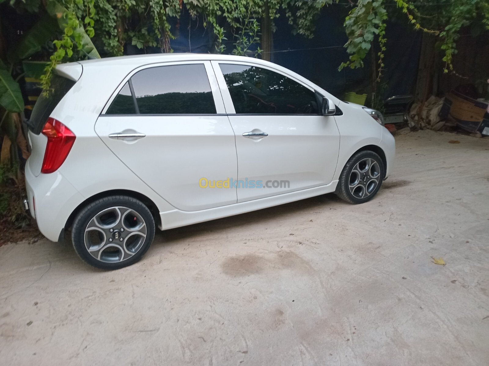 Kia Picanto 2015 Sportline