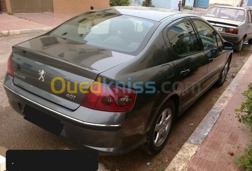 Peugeot 407 2008 407