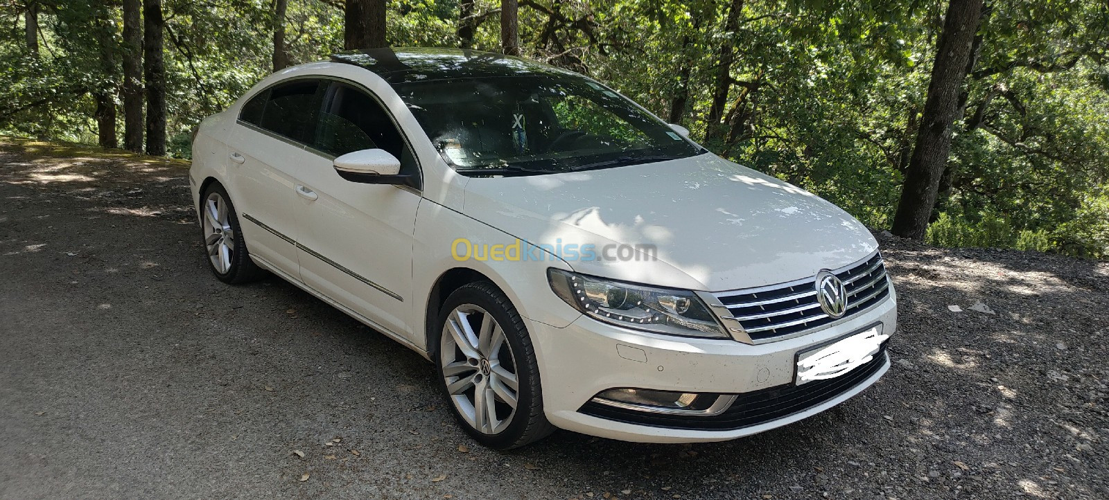 Volkswagen Passat CC 2012 Passat CC