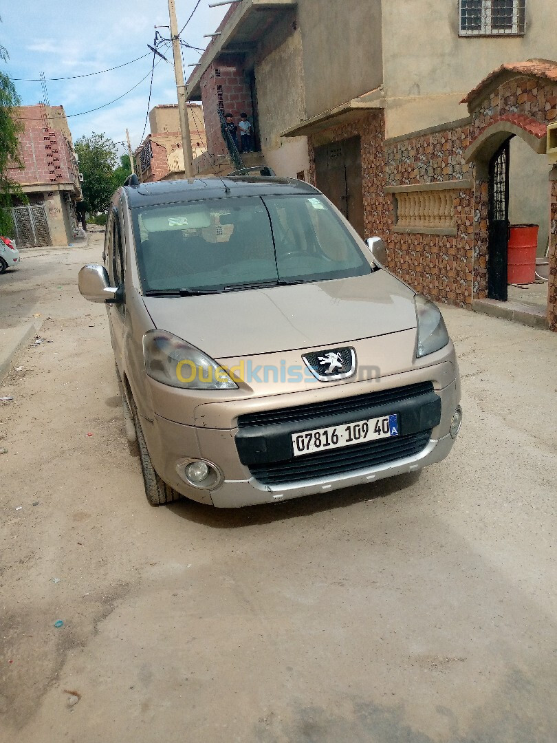 Peugeot Partner 2009 Tepee