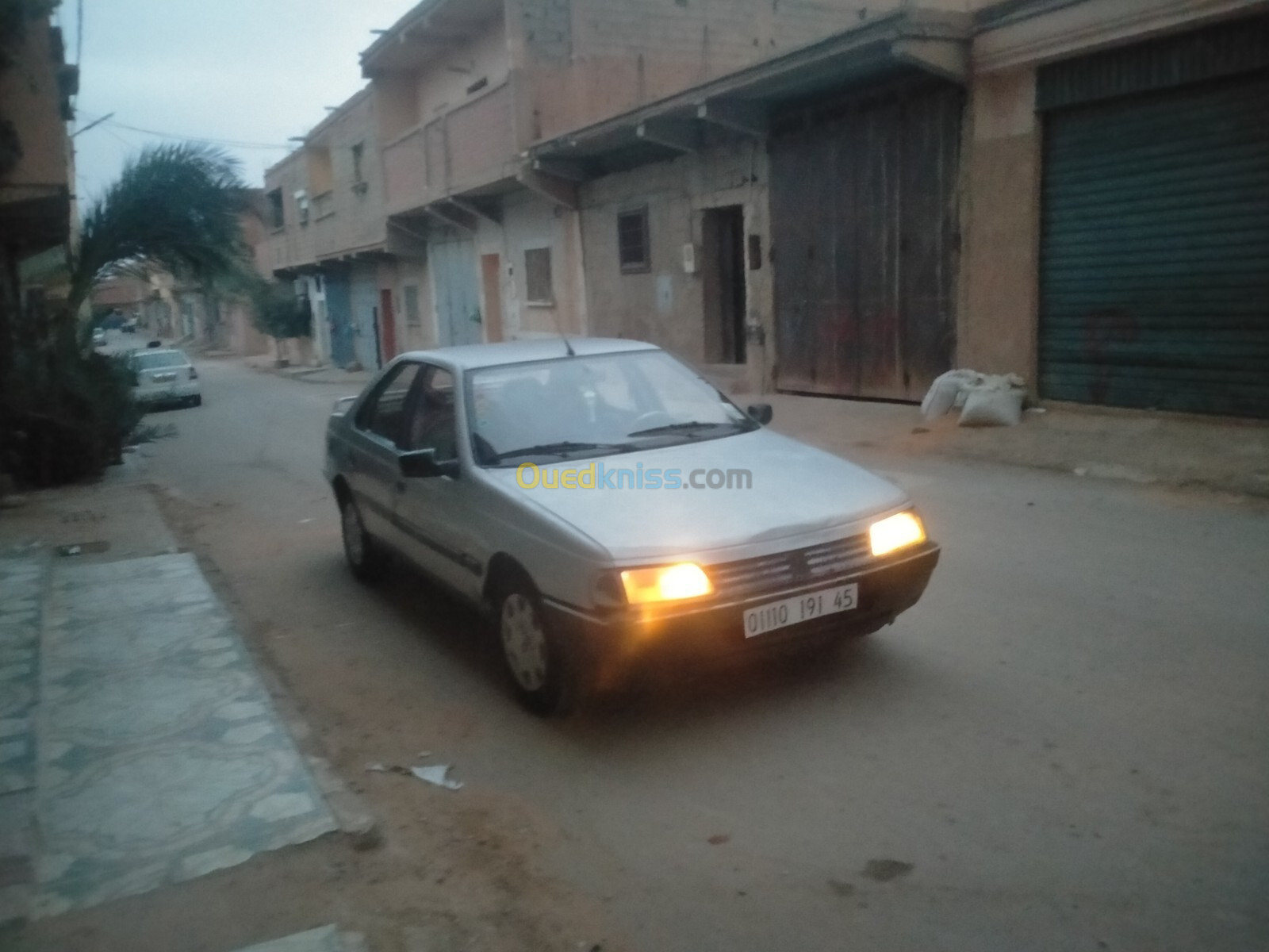 Peugeot 405 1991 405