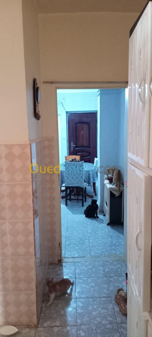 Location Appartement Tipaza Nador