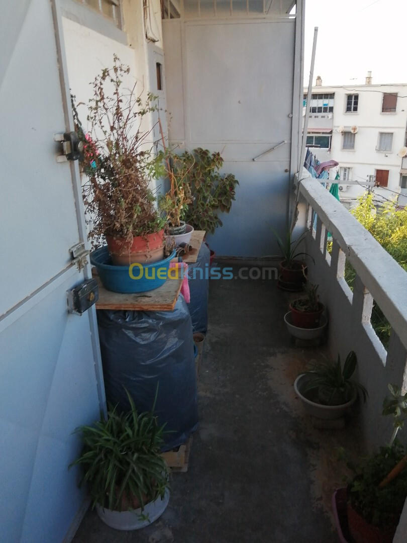 Vente Appartement F3 Blida Blida