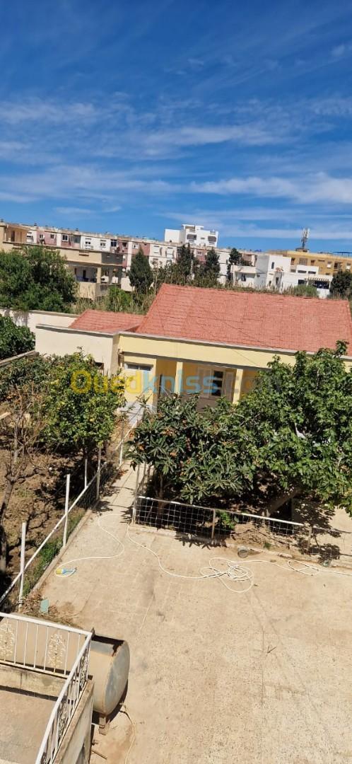 Location Appartement Chlef Tenes