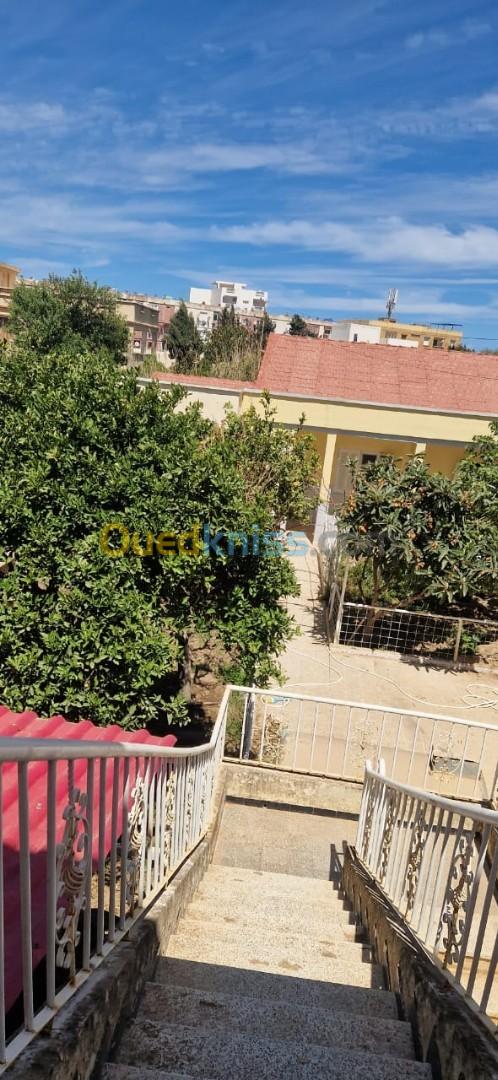 Location Appartement Chlef Tenes