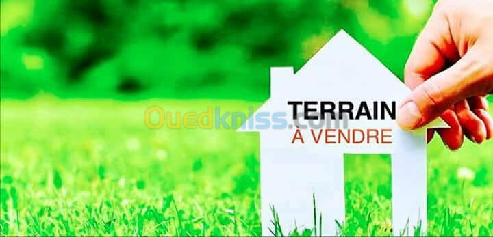 Vente Terrain Alger Cheraga