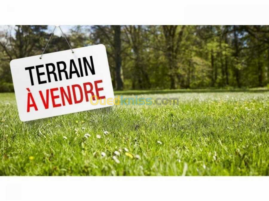 Vente Terrain Alger Baba hassen