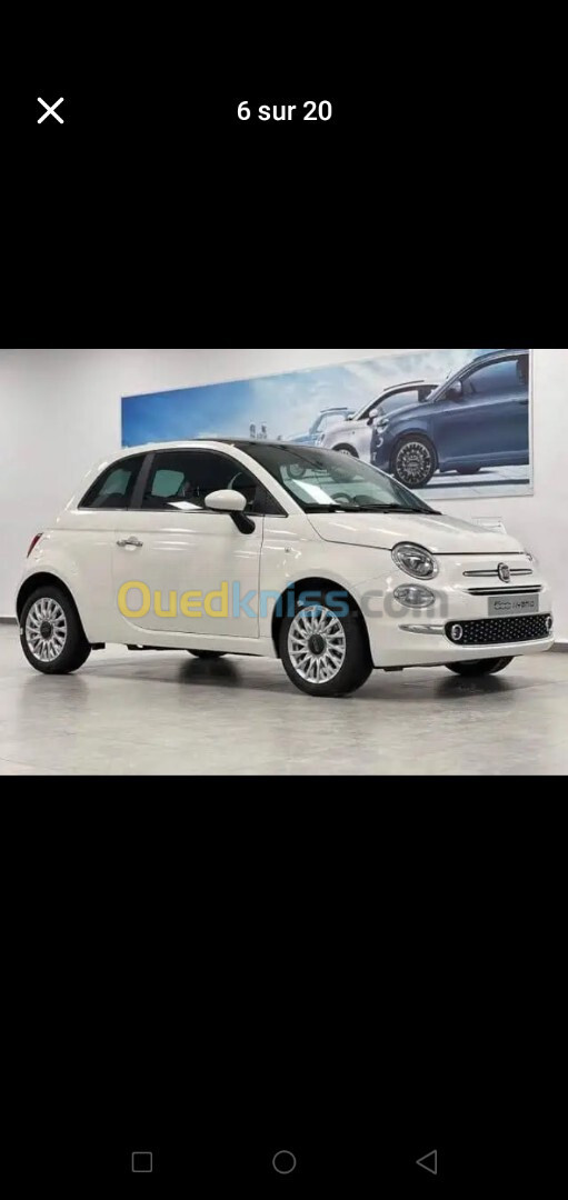 Fiat 500 2024 