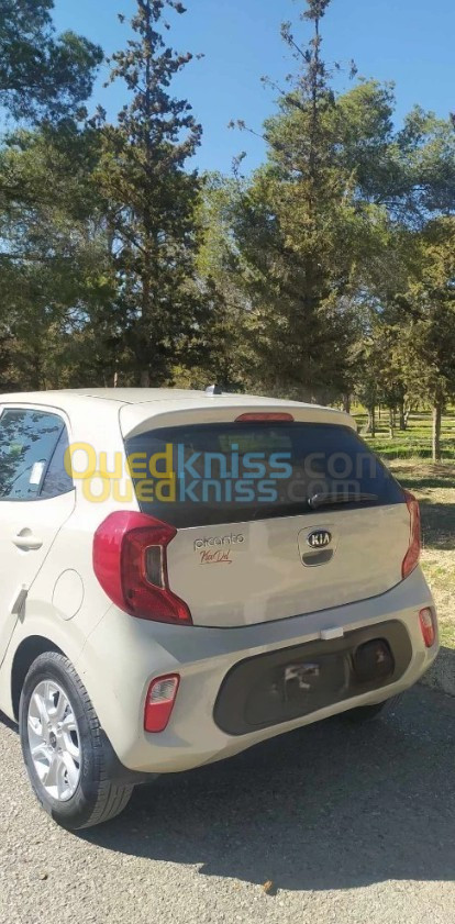 Kia Picanto 2019 LX Start