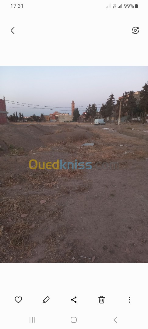 Vente Terrain Blida Sidi moussa