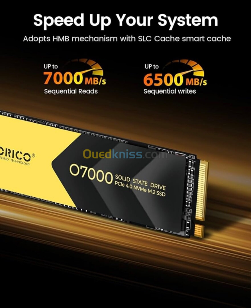 ORICO NVMe SSD PCIe 4.0- Up to 7000MB/s, M.2 SSD 2280 PCIe 4.0X4  SSD  1TB