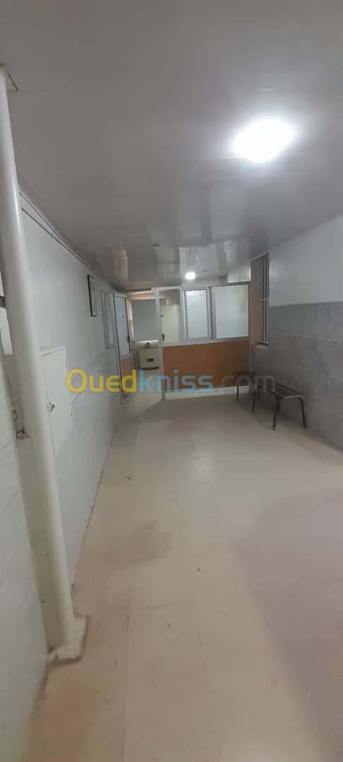 Location Appartement F4 Alger El biar