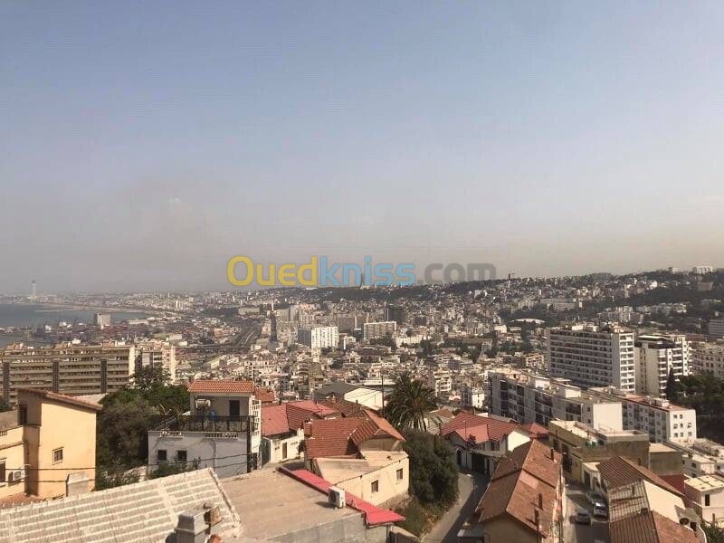 Vente Appartement F3 Alger Alger centre