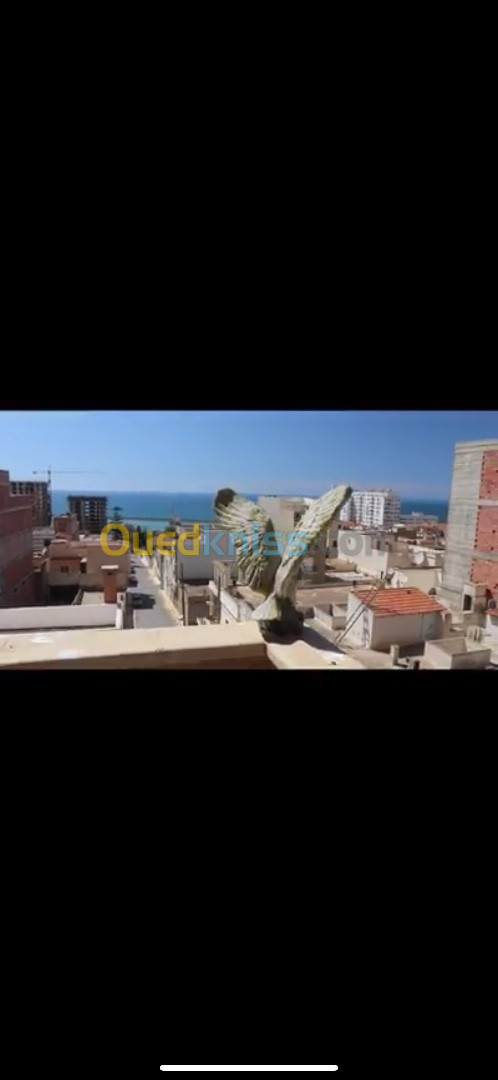 Location Appartement F3 Mostaganem Mostaganem