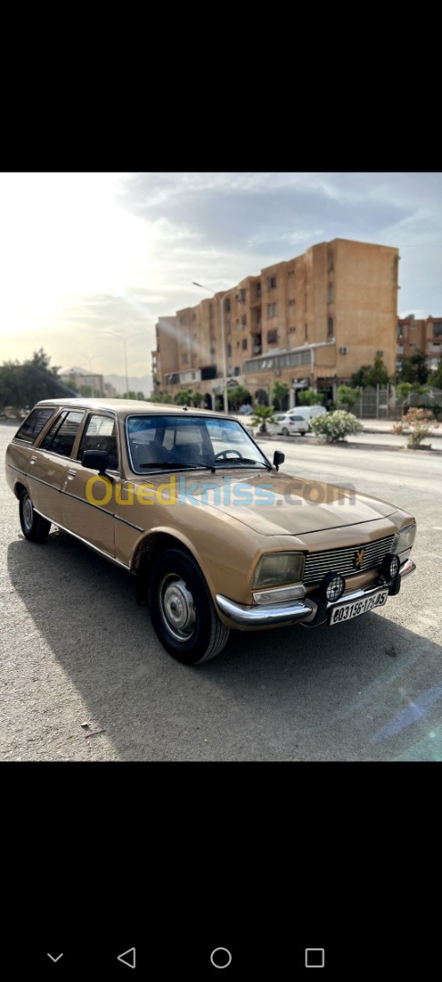 Peugeot 504 1975 