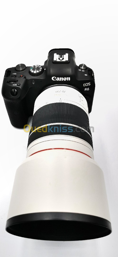 Canon R6 avec RF 70_200 F4 IS USM 