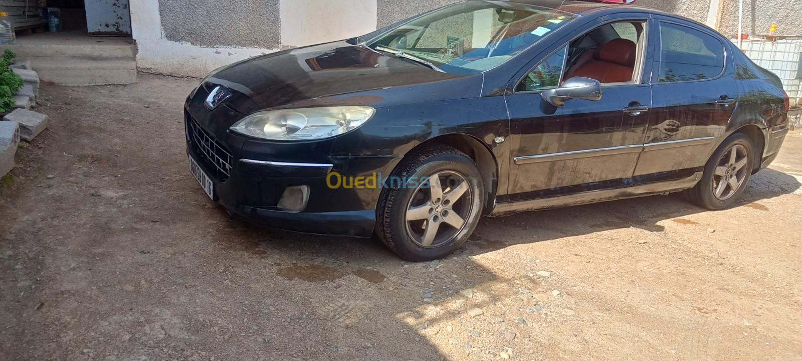 Peugeot 407 2004 407