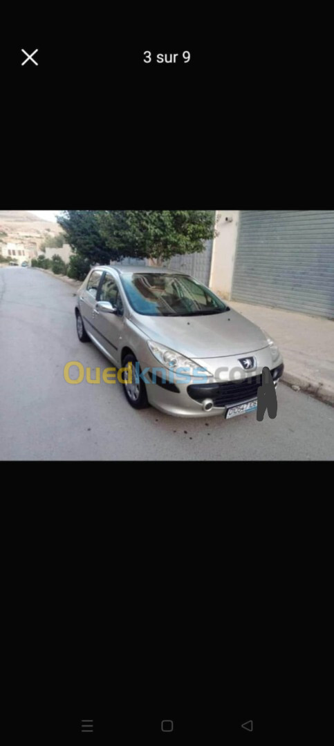 Peugeot 307 2006 307