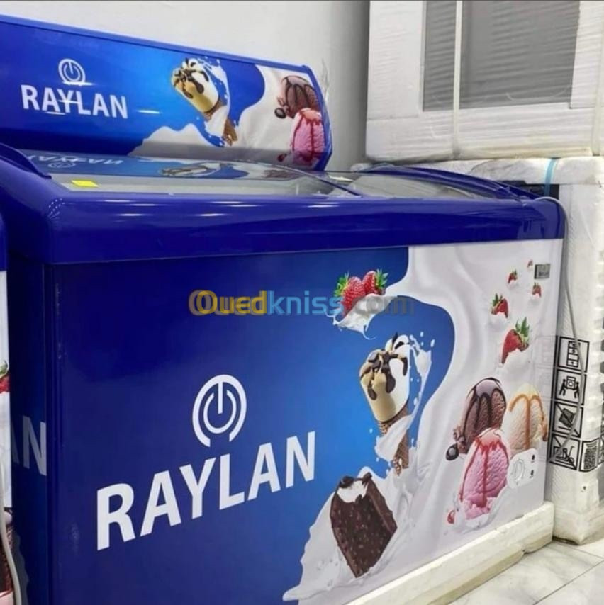 Congélateur commeecial raylan 258 litre 