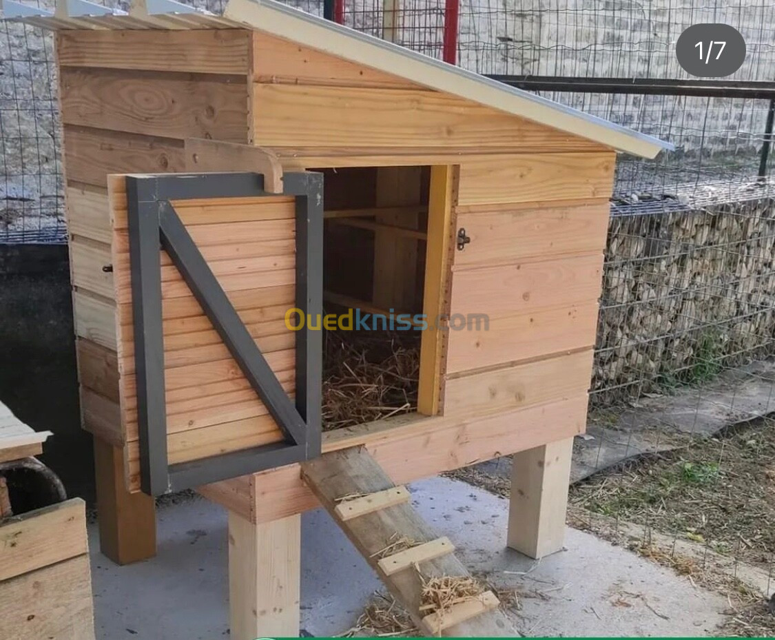 Poulaillers en bois بيوت دجاج بالخشب مميزة 