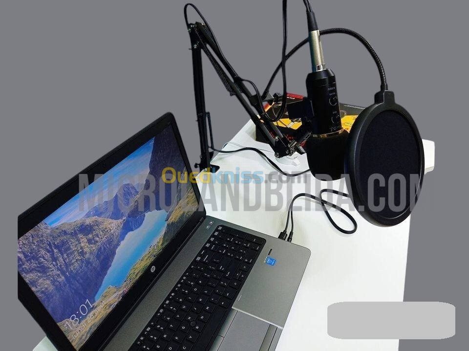 microphone professionnelle m800u avec carte son v8