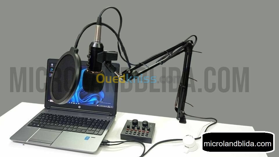 microphone professionnelle m800u avec carte son v8