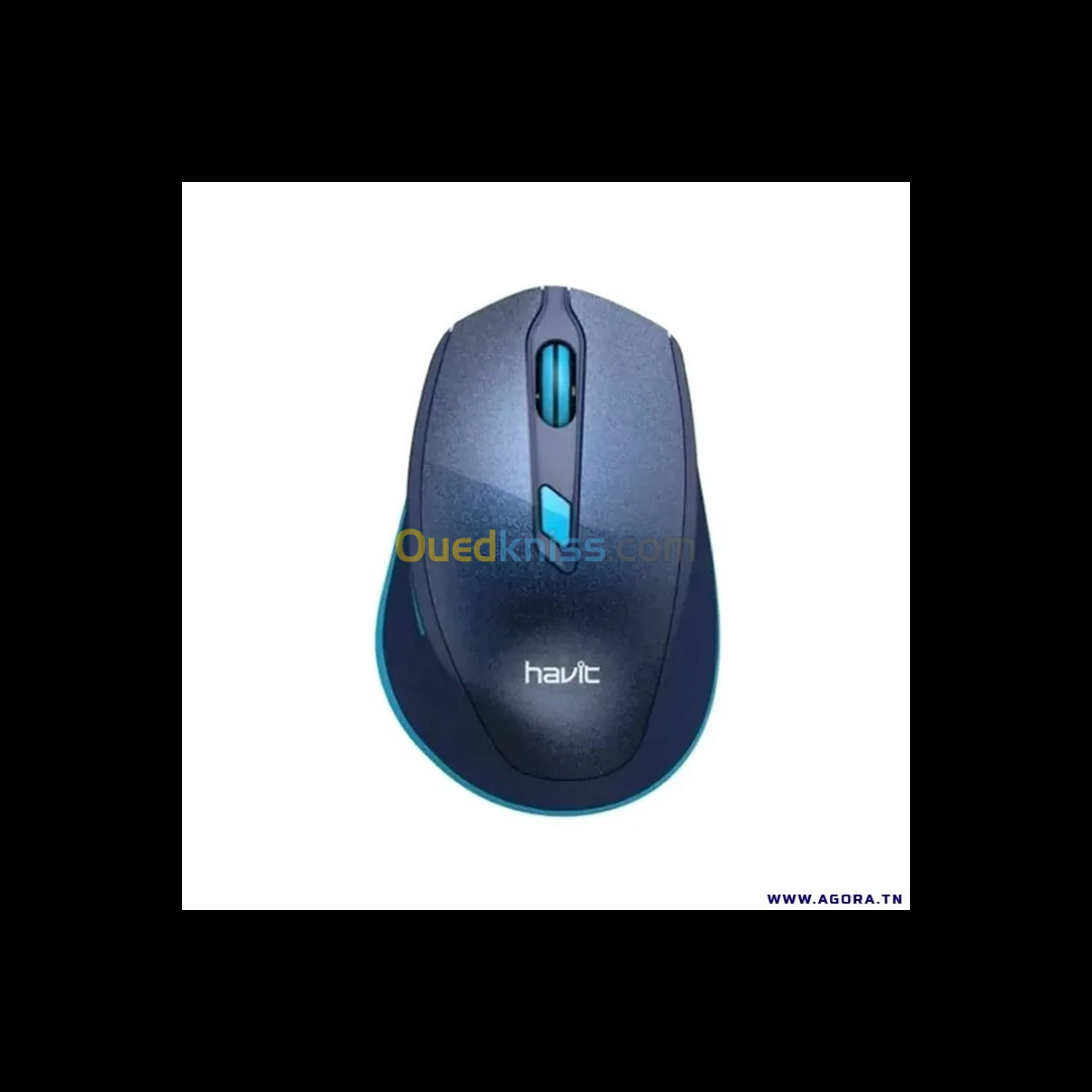 Souris sans fil Havit MS622GT/MS76GT 2.4GHz