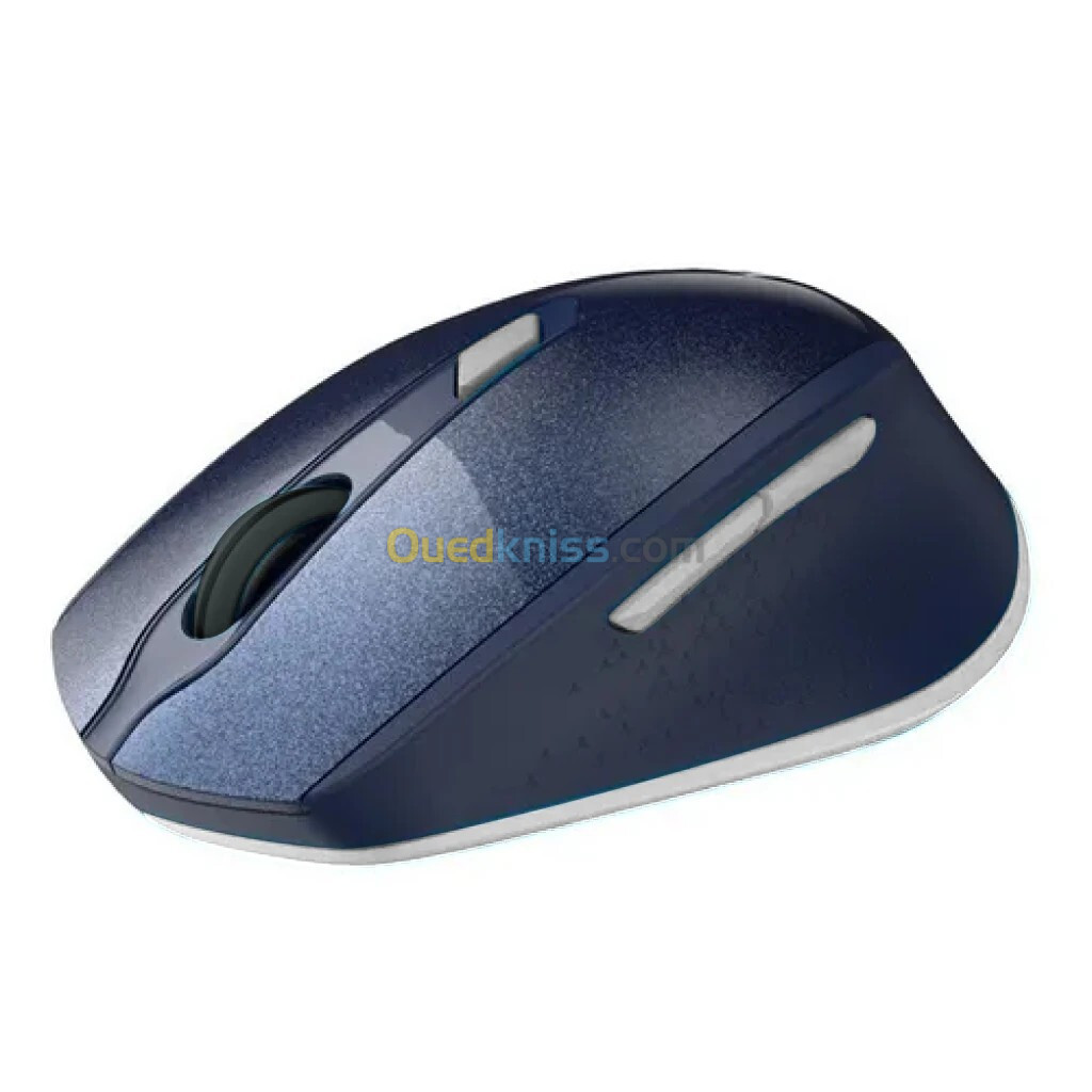 Souris sans fil Havit MS622GT/MS76GT 2.4GHz