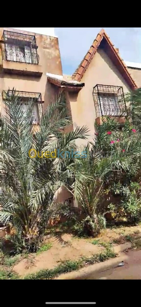 Vente Villa Alger Ain taya