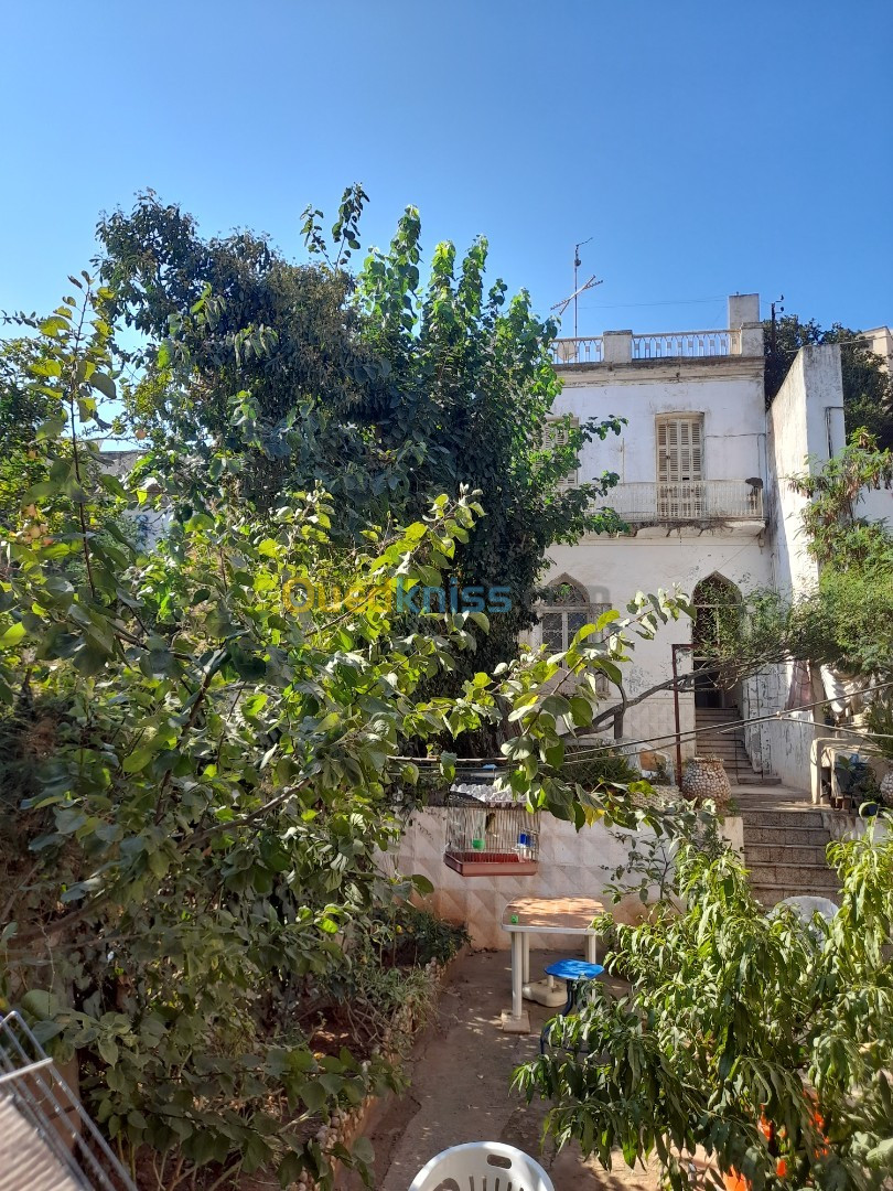 Vente Villa Alger Bologhine