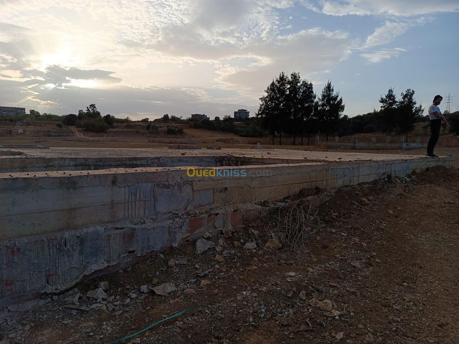 Vente Terrain Tipaza Kolea