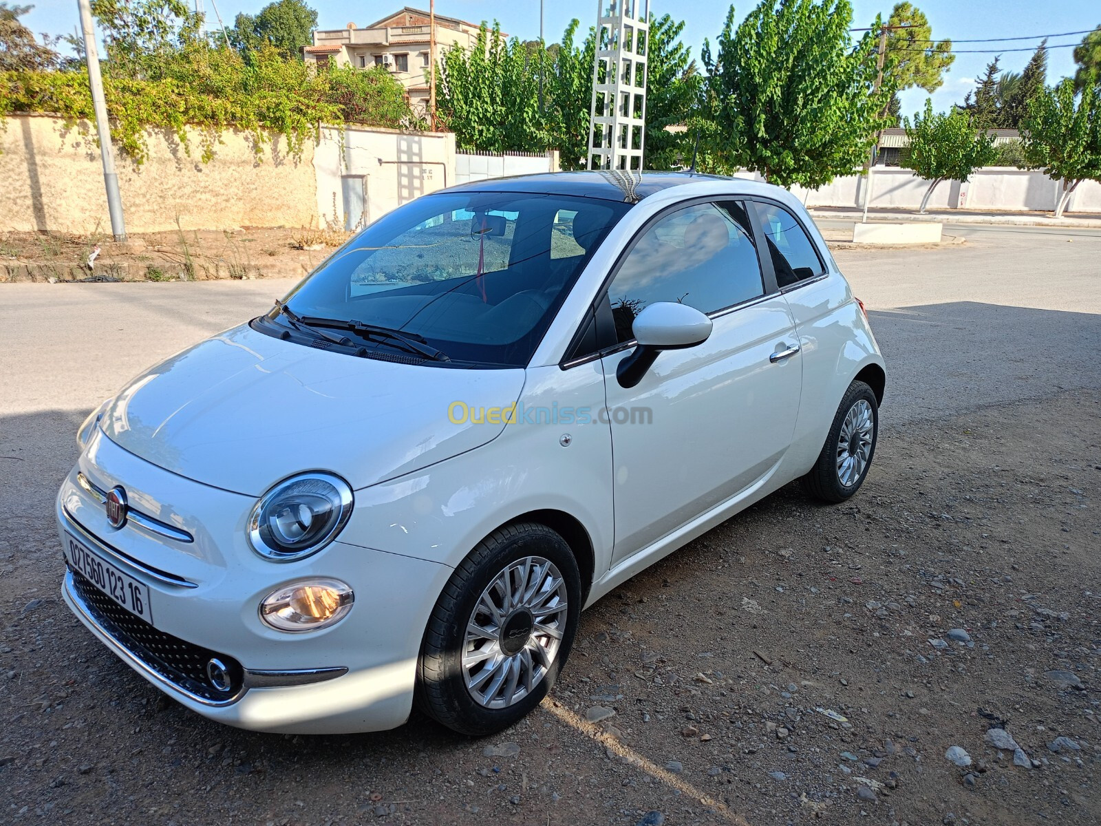 Fiat 500 2023 Club