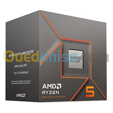 PROCESSEUR AMD RYZEN 5 8400F (4.2 GHz / 4.7 GHz) BOX