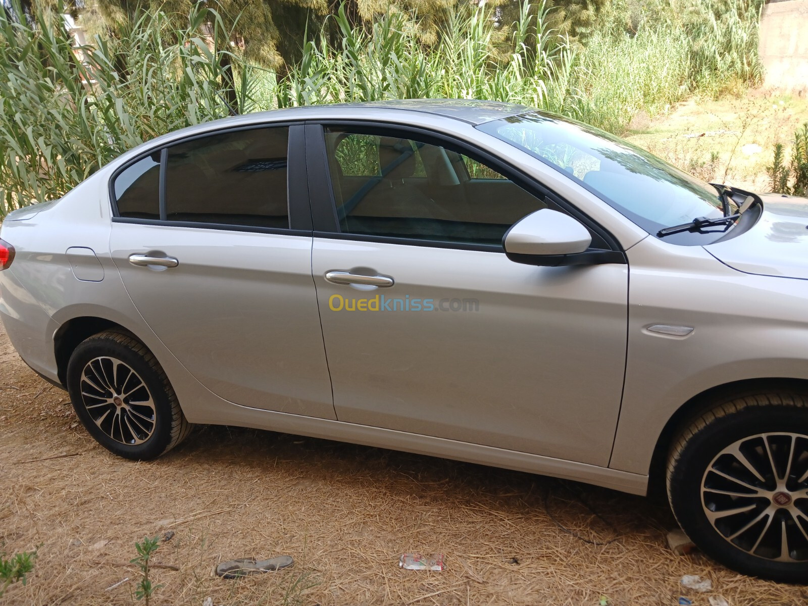 Fiat Tipo 2023 City plus