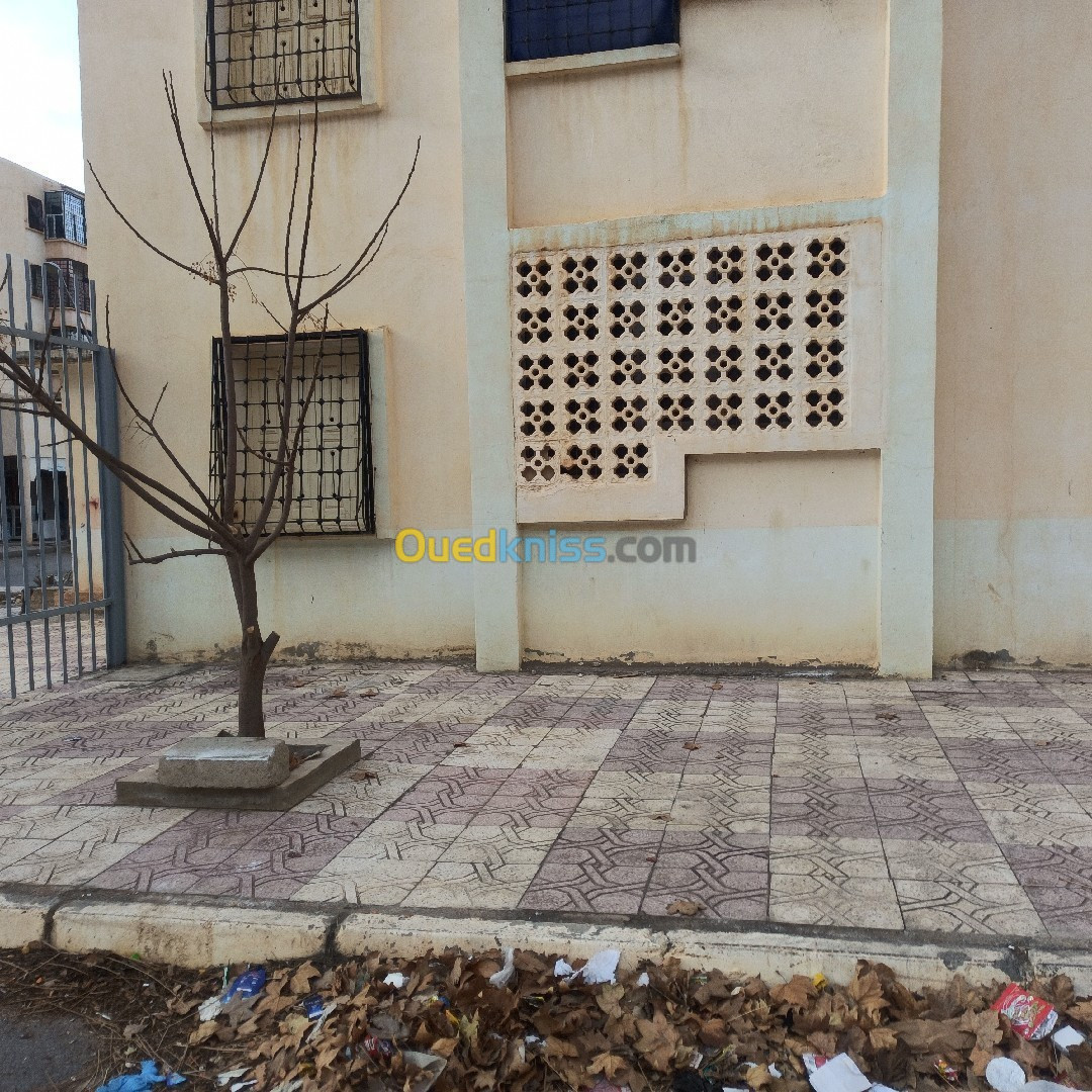 Location Appartement Batna Oued chaaba