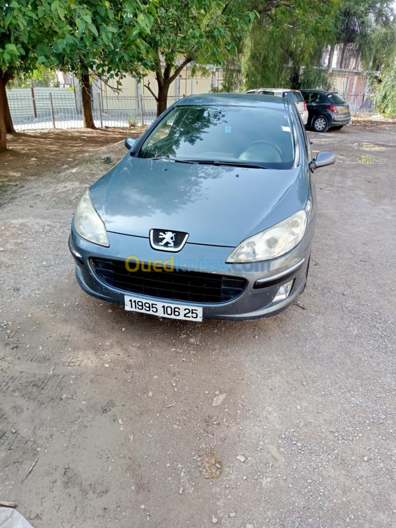 Peugeot 407 2006 407