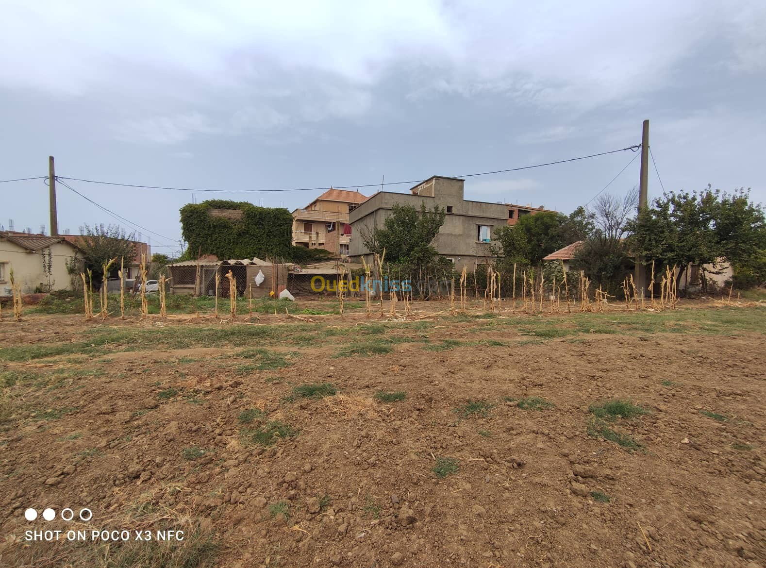 Vente Terrain Boumerdès Djinet