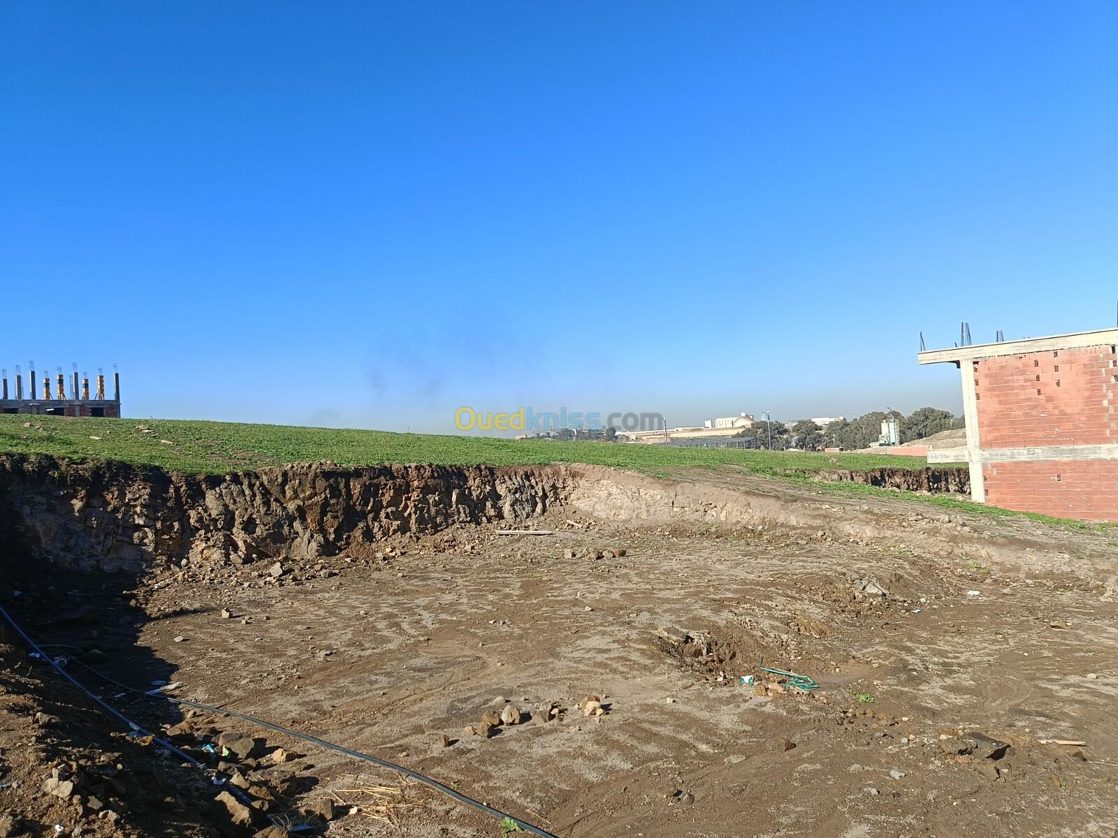 Vente Terrain Boumerdès Ouled moussa