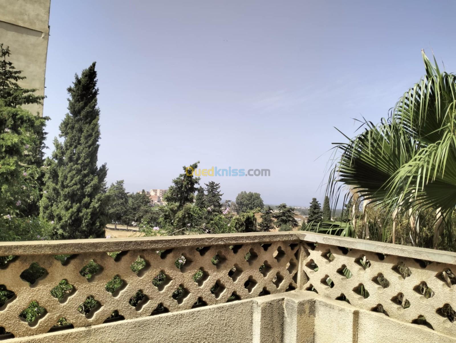 Vente Villa Alger Ouled fayet