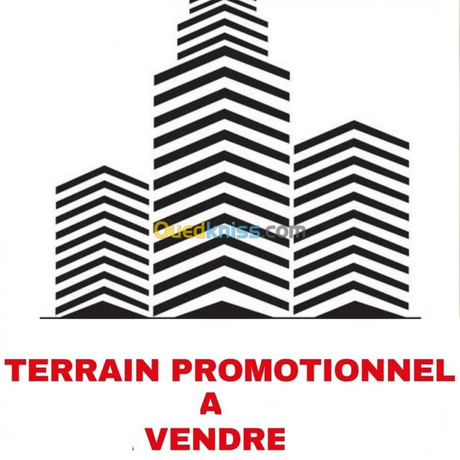 Vente Terrain Alger Kouba