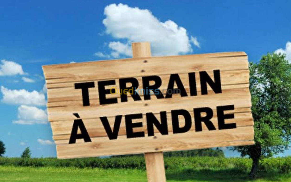 Vente Terrain Alger Birkhadem