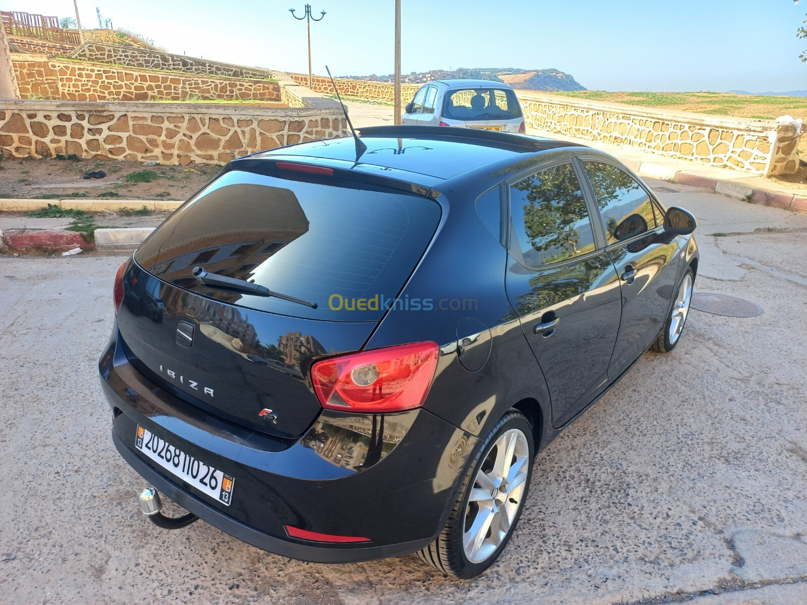 Seat Ibiza 2010 